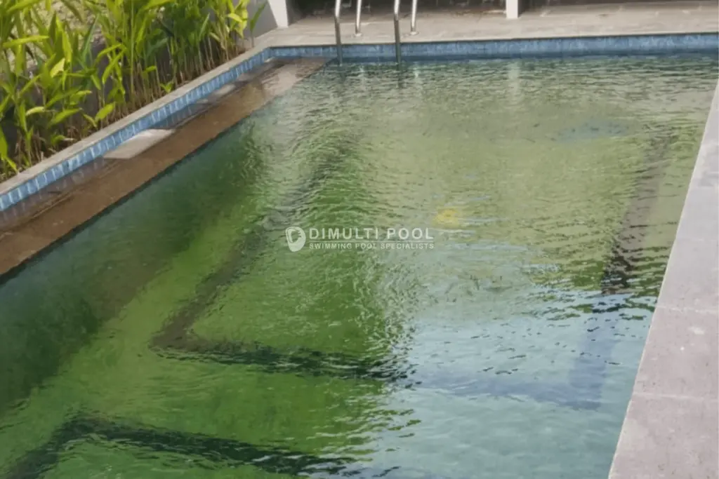 Contoh air kolam renang berwarna hijau bening.