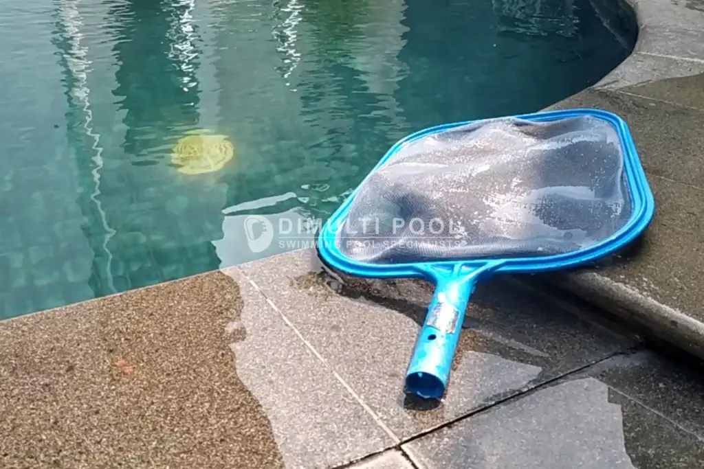Leaf skimmer kolam renang. Ini semua yang perlu diketahui.