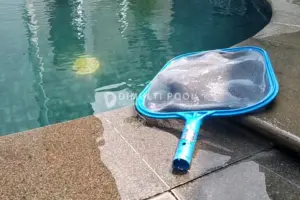 Leaf skimmer kolam renang. Ini semua yang perlu diketahui.