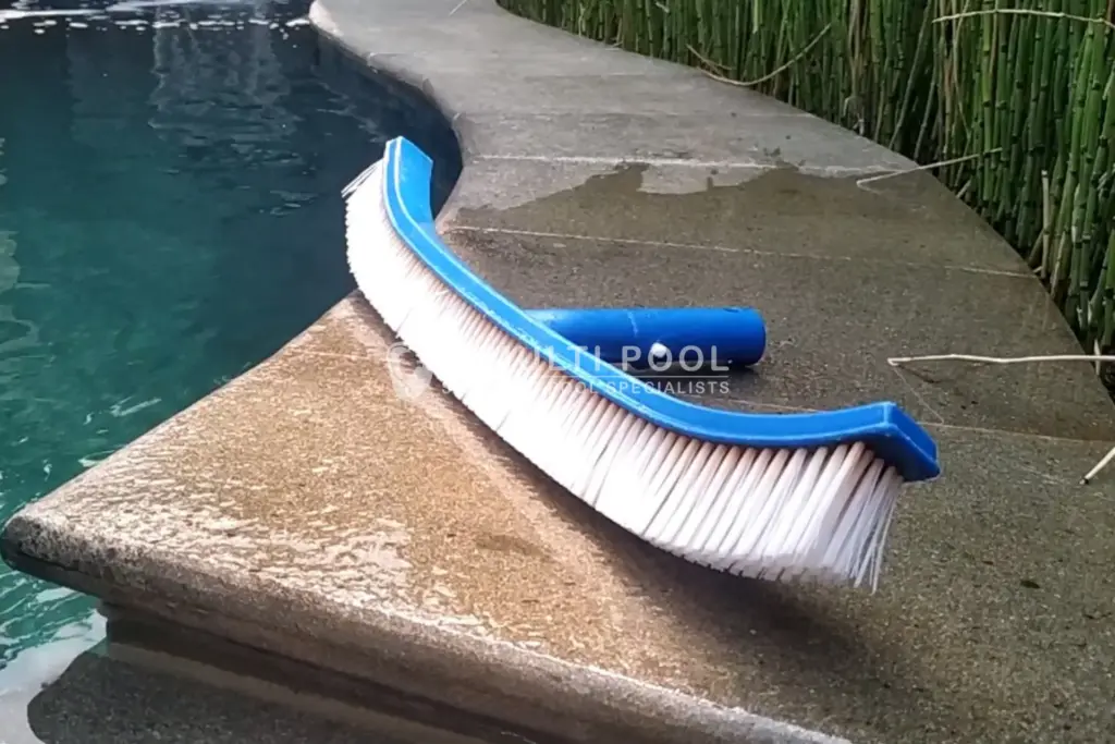 Pool brush. Ini semua yang perlu anda ketahui.