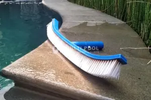 Pool brush. Ini semua yang perlu anda ketahui.