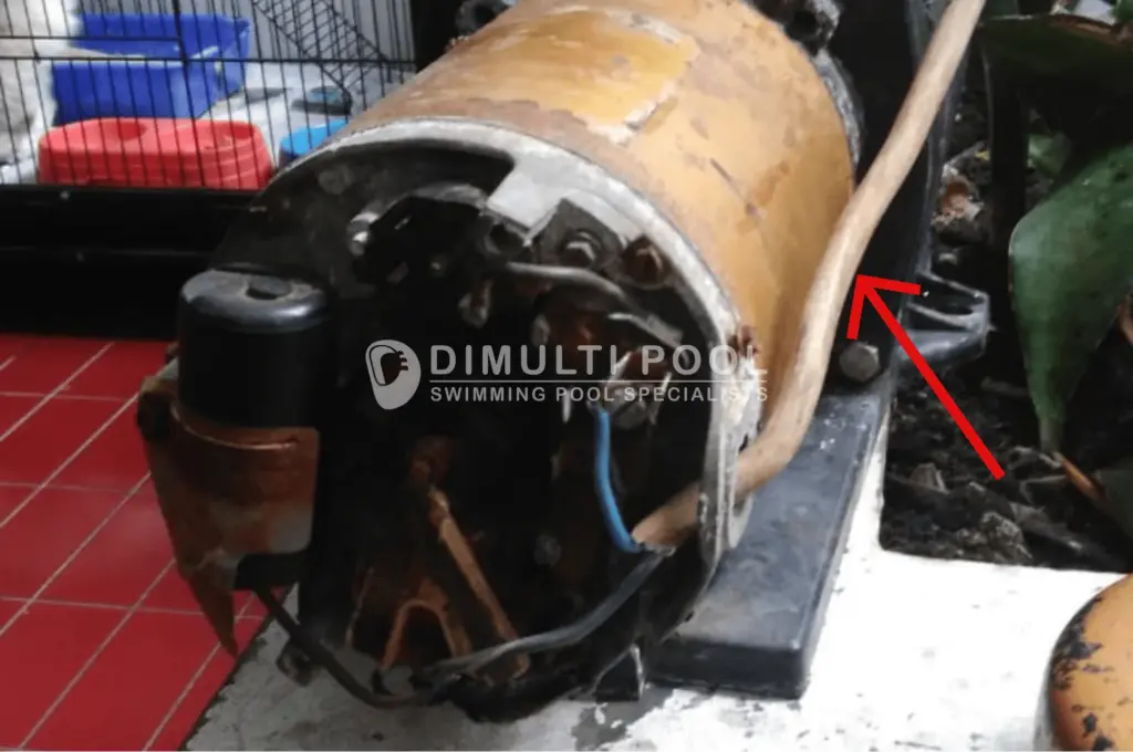 Contoh kabel yang terpasang di bodi pompa kolam renang.